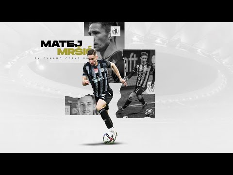 Matej Mršić ● LW/LCB ● SK Dynamo Ceske Budejovice ● Highlights
