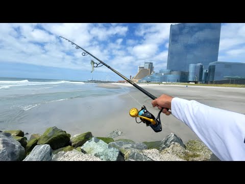 Searching the Jersey Shore for A Bite! New Jersey Surf Fishing