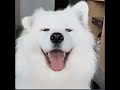 Oblivion 100 By Bro I Do Not Know