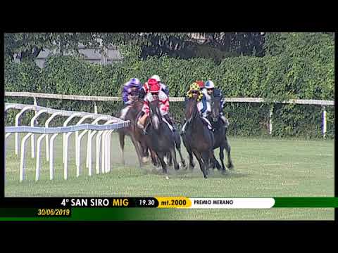 2019.06.30 Premio Merano (ITA) - Chestnut Honey