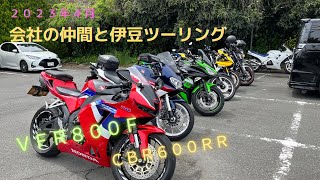 ２０２３年４月  会社の仲間たちと伊豆ツーリング　ＶＦＲ８００Ｆ　ＣＢＲ６００ＲＲ