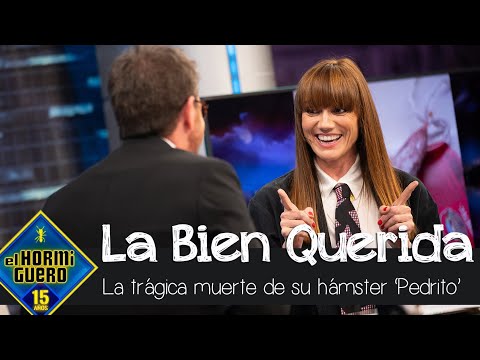 La Bien Querida anuncia en exclusiva la trágica muerte de su hámster 'Pedrito' - El Hormiguero