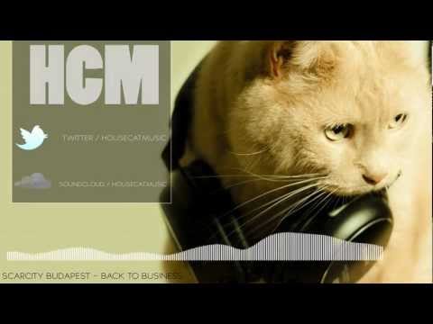 Scarcity Budapest - Back to Business