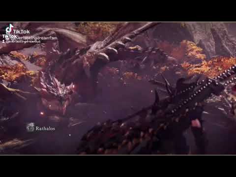 {Monster Hunter} My MH character History