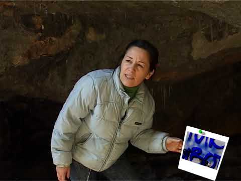 Слике живота - Хомољске приче Slike života Homoljske priče