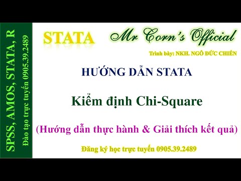Kiểm định Chi-Square trên STATA (Hướng dẫn thực hành & Giải thích kết quả)