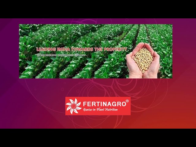 Fertinagro Group