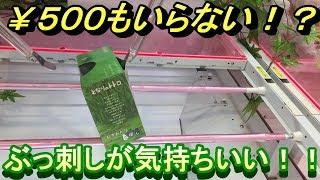 ハイエナを￥500以内で決める！再び、となりのトトロ みんなでゆらゆら おきあがりこぼしをゲットしてみる