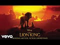 Can You Feel the Love Tonight (From "The Lion King"/Audio Only)