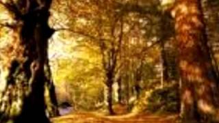 Falkenbach - Heaten Foray (sub en español)