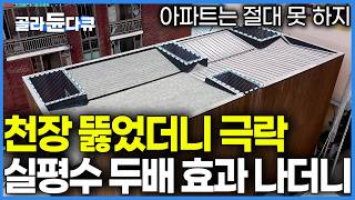 43평 맞아? 80평은 넘는줄 알았다. 40대 싱글이 하고 싶은 대로 지었더니 중정만 4개에 실평수 2배 넓어진 반전 2층 집｜건축탐구 집｜#골라듄다큐