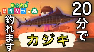 【あつ森】マグロ釣りタイムアタック【あつまれどうぶつの森】
