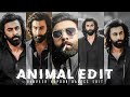 ANIMAL X KILLING JEEJA EDIT Animal Edit Animal Movie Status Animal Movie Edit 4K