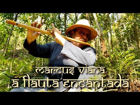 Marcus Viana   A Flauta Encantada