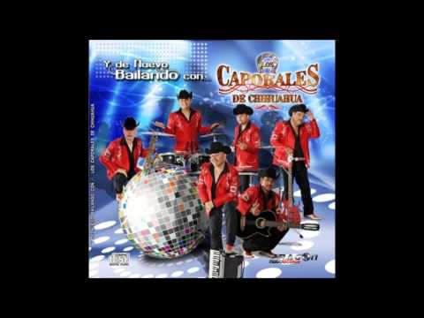Los Caporales De Chihuahua - La Vecina 2013