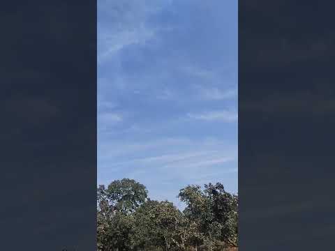 kobitar ja ja😂 nature #sudipti