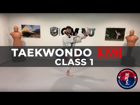 Taekwondo Fundamental Techniques LIVE Class thumbnail