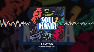 AYN Sounds - Soul Mania Vol. 1 Multi-Kit (Sample Pack Preview)