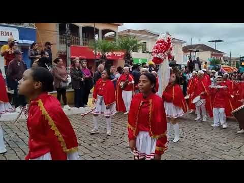 Festa de Nossa Senhora do Rosário 2026 - Levantamento do Mastro - Silvianópolis - MG - Mastro
