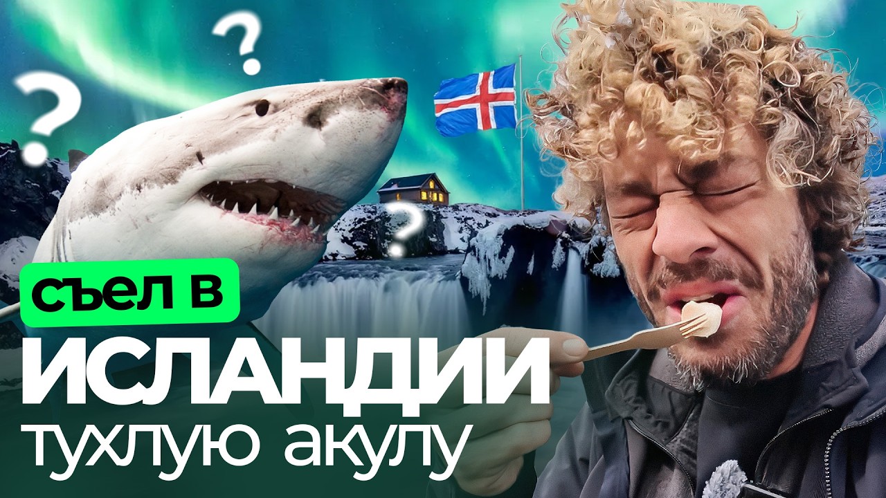 Минусы Исландии: еда невкусная и всё дорого, но люди счастливы | тухлая акула,