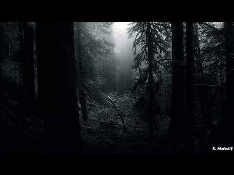 Jack Back (David Guetta) - Pelican (Original Mix)