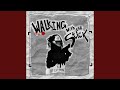Walking With The Stick