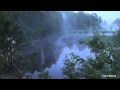 Рассвет река туман над водой природа пение птиц релакс медитация river water ...