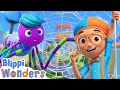 Blippi Wonders Blippi Learns About Spiderwebs Educational Cartoons For Kids Blippi Toys