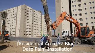 بسماية الشقق شباط 2018