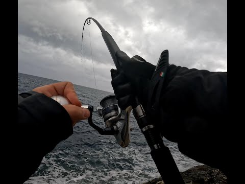 SHORE JIGGING - ALBACORE GALORE