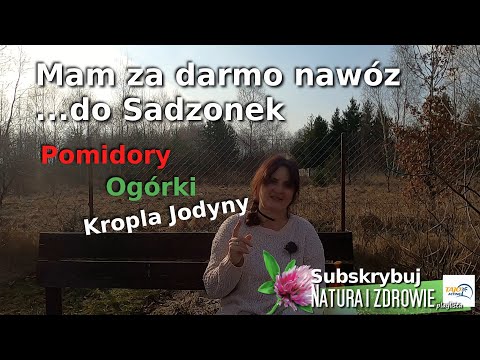 Tani nawóz i oprysk z jodyny dla sadzonek pomidorów ogórków krzewów Sposób na pasożyty i mączniaka?