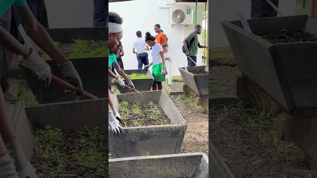 𝐄𝐧𝐭𝐫𝐞𝐭𝐢𝐞𝐧 𝐝𝐮 𝐣𝐚𝐫𝐝𝐢𝐧 𝐝𝐮 𝐥𝐲𝐜é𝐞 𝐇𝐞𝐧𝐫𝐢 𝐒𝐲𝐥𝐯𝐨𝐳 #Moanda #Gabon #FondationLékédi #WWF  #documentary