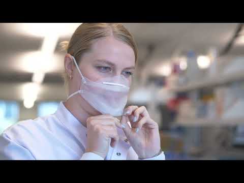 Sunny Creative video.