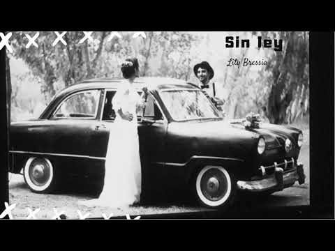 sin ley  ( LITY BRESSIA 2019 )