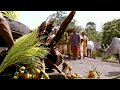 New Whatsapp Statau Rudra Abhishek WhatsApp Status Of Mahakal