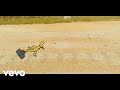 Eleventh Dream Day - A Case to Carry On