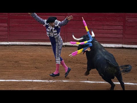 La plaza de toros más antigua de América Latina reanuda la actividad