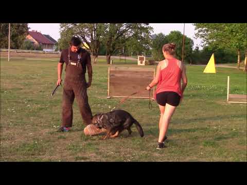 Querry z Jukasu - protection training - 1 year