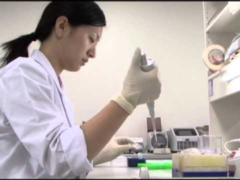 生命工学科 分子生体機能学研究室