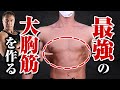 【筋トレ】弱点の大胸筋の輪郭を作るためにこのやり方でダンベルフライをやってください