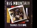 Big Mountain   First Cut Is The Deepest   1999