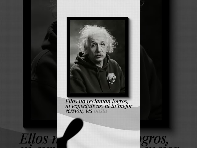 Vídeo relacionado con Edición Limitada 2026, Retro 2026, Vintage 2026 Sudadera con Capucha