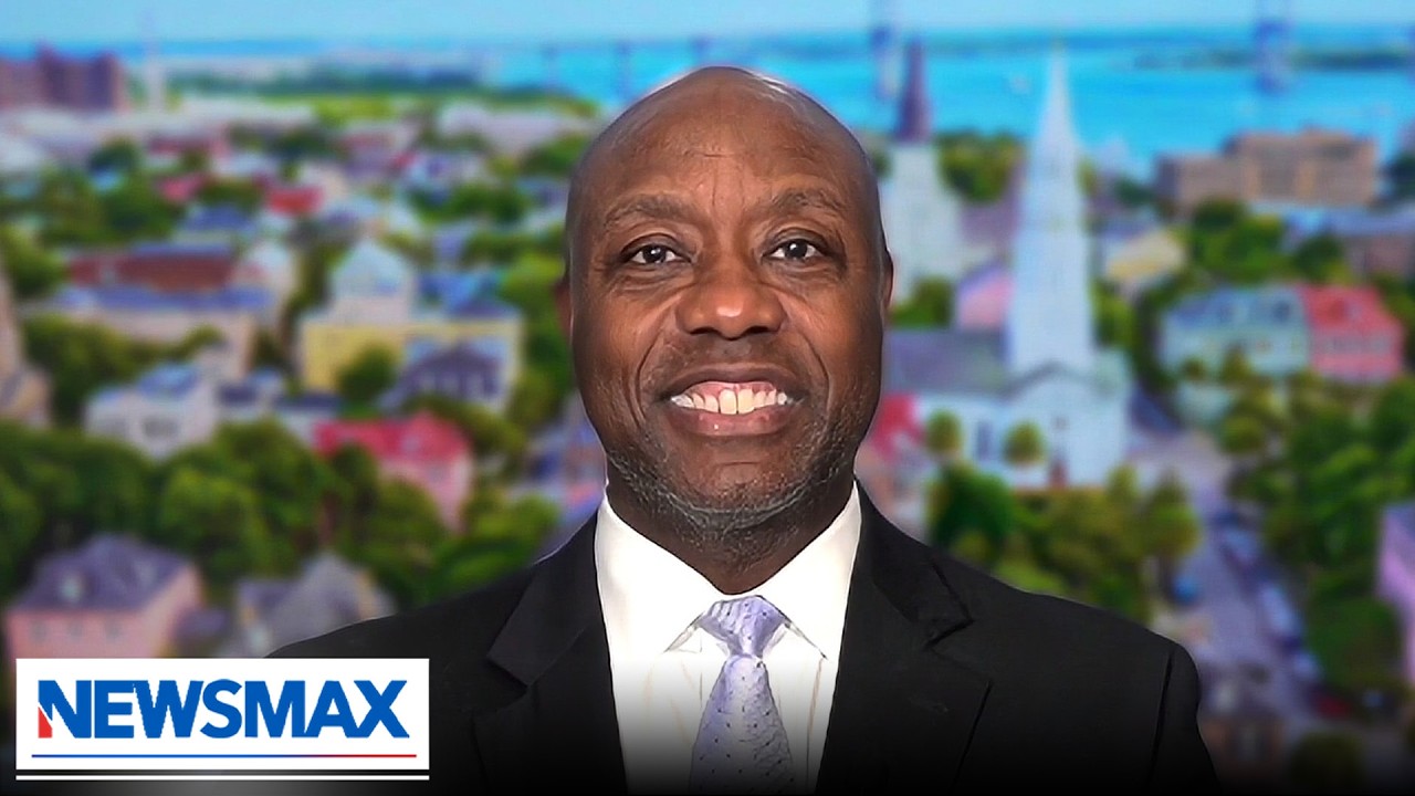 Sen. Tim Scott rips apart Dems 'coordinated effort'