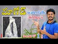 Magod Falls Yellapur Karnataka Tourist Places To Visit Near Hubli Telugu Vlogs Details
