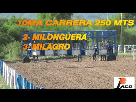 MILAGRO  HIPODROMO EL PEDERNAL CHEPES LA RIOJA 06 02 2022