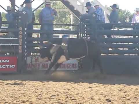 Convoluted C4 Bucking Bulls 2 yr.avi