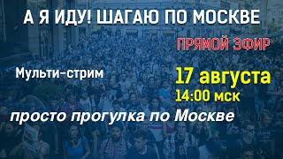 А я Иду! Шагаю по Москве!