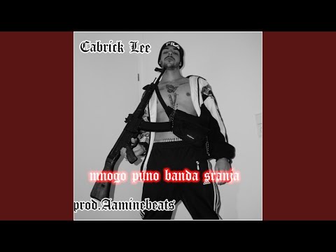 Mnogo Puno Banda Sranja