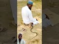 Power Of Nimaz Ytshort Islamicvideo Tilawat