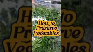 OUR GARDEN IS BURSTING WITH LIFE 🌿 AMARANTH HARVEST & REGROWTH TIPS #shorts